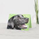 Suche nach labor karten Tierfreund