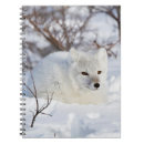 Suche nach kanada kleine notizbücher Arktisch