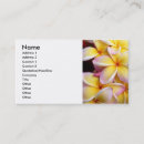 Suche nach frangipani visitenkarten Plumeria