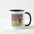 Suche nach tennisbälle tassen Hund