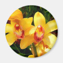 Suche nach exotische orchideen magnete Blume