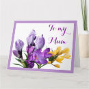 Suche nach violett karten Mutter