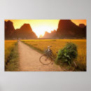 Suche nach fahrrad poster Berge