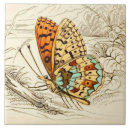 Suche nach vintage illustrationen fliesen Schmetterling