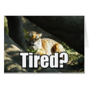 Suche nach asiatische tiere karten Katze