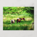 Suche nach aquarell pferd postkarten Jede person