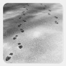 Suche nach spuren aufkleber Winter