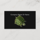 Suche nach niedliche schildkröte visitenkarten Schildkröten