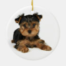 Suche nach yorkie ornamente Haustiere