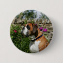 Suche nach pam buttons Hunde fotograf