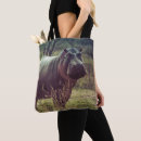 Suche nach hippo taschen Afrika
