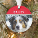 Suche nach australischer hund ornamente Für haustiere