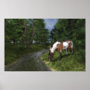 Suche nach paint horse poster Landschaft