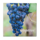 Suche nach rotwein fliesen Weinrebe