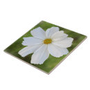 Suche nach kosmos fliesen Blume