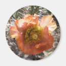 Suche nach pfirsich magnete Orange