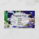 Suche nach meeresflora und fauna visitenkarten Fische