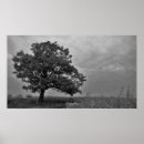 Suche nach eichenbaum poster Landschaft