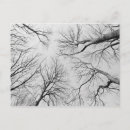 Suche nach diebstahl postkarten Europa