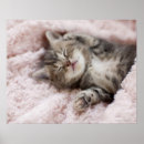 Suche nach sleeping poster Natur