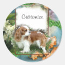 Suche nach cavalier king charles aufkleber Dog