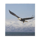 Suche nach flug notizblock Adler
