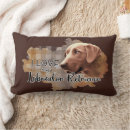 Suche nach labrador retriever kissen Hunde