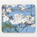 Suche nach hartriegel mousepads Blüte