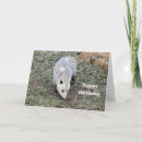 Suche nach opossums karten Marsupial
