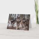 Suche nach wolf pack karten Natur