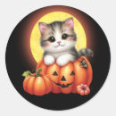 Suche nach mondschein party aufkleber Katze