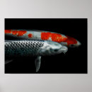 Suche nach kleine fische poster Orange