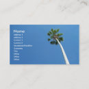 Suche nach palm beach florida Baum