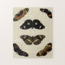 Suche nach insekten puzzle Schmetterlinge