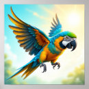 Suche nach papageien poster Vogelvogel