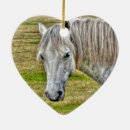 Suche nach horse ornamente Tierfreunde