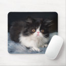Suche nach persische katze mousepads Niedlich