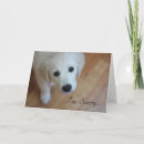 Suche nach traurig für ihren verlust karten Weiß