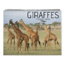 Suche nach safari kalender Giraffen