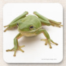 Suche nach baumfrosch untersetzer Natur