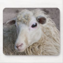 Suche nach lustige schafe mousepads Bauernhof