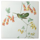 Suche nach tropischer regenwald fliesen Wild lebende tiere