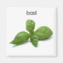 Suche nach basilikum Blatt