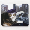 Suche nach lustige miezekatze mousepads Humorvoll