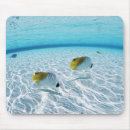 Suche nach meere mousepads Natur