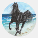 Suche nach wildes pferd aufkleber Stallion