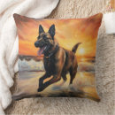Suche nach malinois kissen Für alle