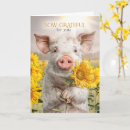 Suche nach niedliches schwein karten Schweine