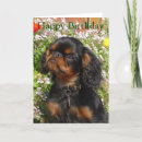 Suche nach könig karten König charles spaniel