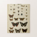 Suche nach raupen puzzle Schmetterlinge